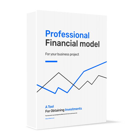"Professional Financial Model" Financial model